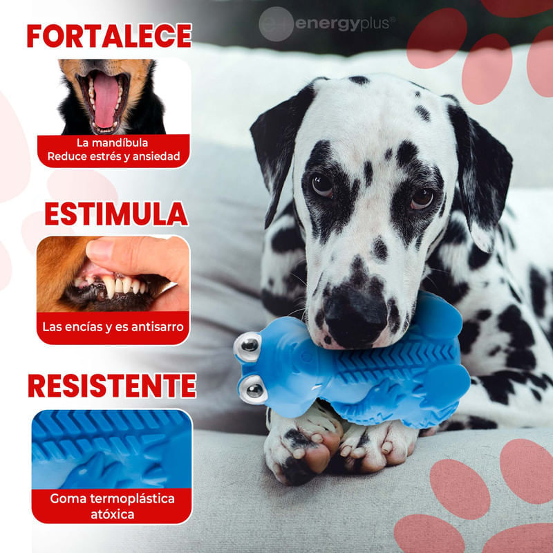 Juguete interactivo para perro Kong