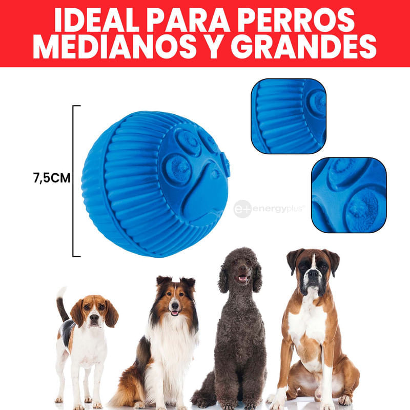 Relaxdays Lanzador Pelotas Perro, Juego de 2 Unidades con 5 Bolas, Juguete  Perros, Plástico, Azul y
