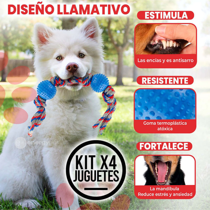 4 Juguetes con pelota y cuerda resistente para perros medianos