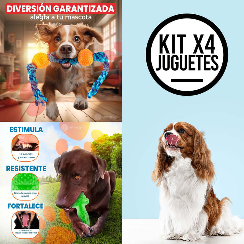 KONG Juguete Para Perro Pequeño Kit 4 Piezas - Kit 3 - Hundsport