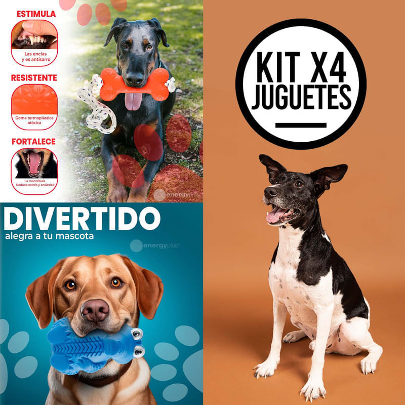 4 Juguetes Mordedor Dental Hueso Goma para Perros Medianos