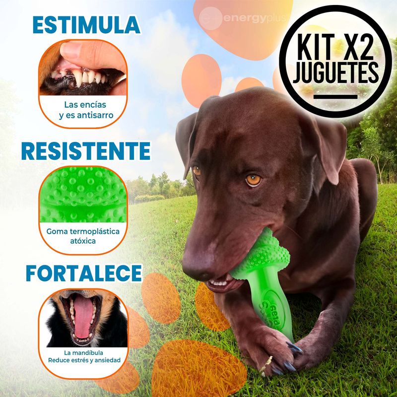 Juguetes resistentes para online perros grandes