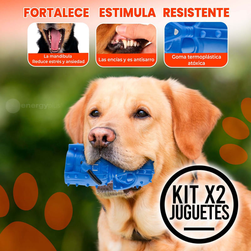 Juguetes antisarro best sale para perros