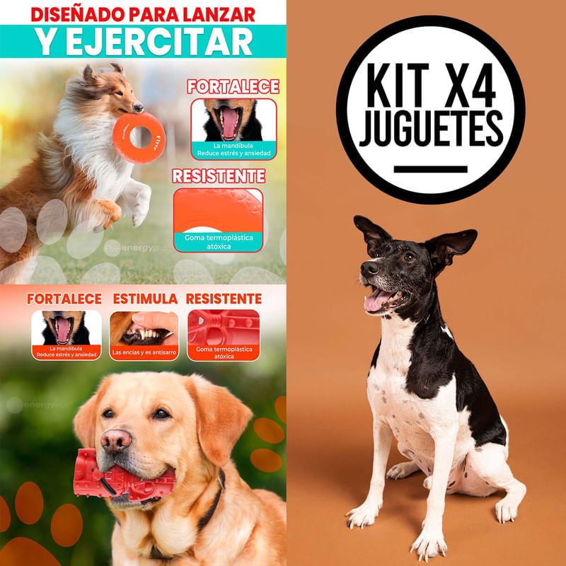 Combo X4 Juguetes para Perros Medianos: Diversión y Salud