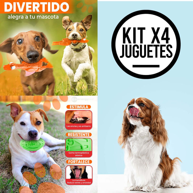 Kit De Juguetes Para Perro