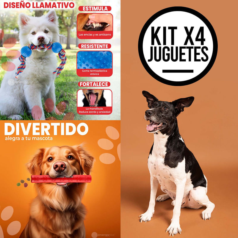 Kit X4 Juguetes para Perros Medianos: Diversión Garantizada