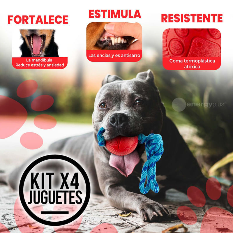 4 Juguetes con pelota y cuerda resistente para perros medianos