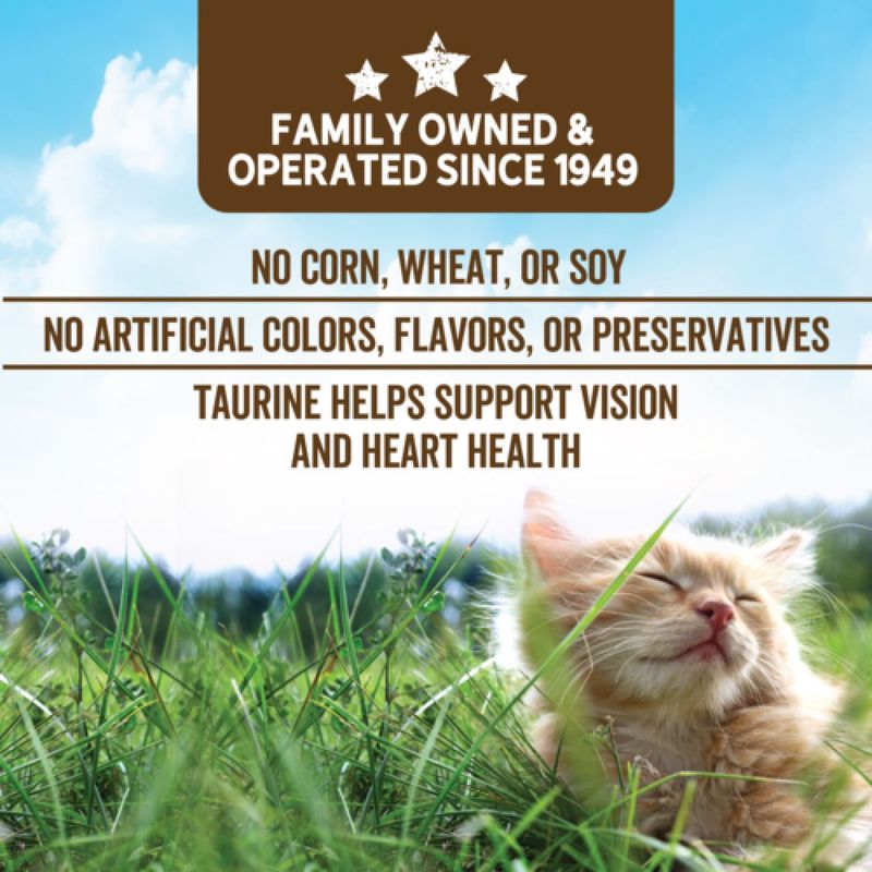 Evolve grain hotsell free cat food