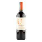 VINO-UNDURRAGA-CABERNET_F