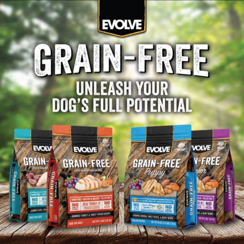 Evolve senior 2024 dog food