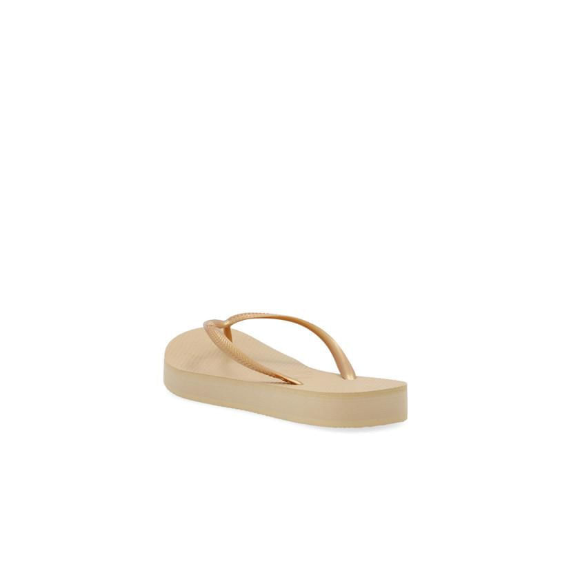 Flip Flops Chanclas Playa Mujer Dedo Negro Dorado Chanclas Aldo