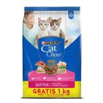 CAT-CHOW-GATITOS-ECONOPACK_F