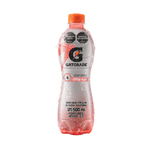 HIGATORADE G-ACTIVE FRESA KIWI_F
