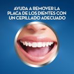 CEPILLO-DE-DIENTES-PRO-CERDAS_L