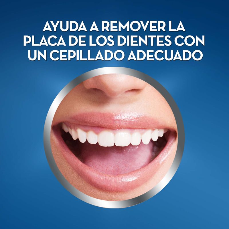 CEPILLO-DE-DIENTES-PRO-CERDAS_L