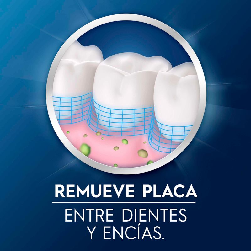 PICK-INTERDENTAL-ORALB_L