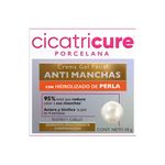 CREMCICATRI-PORCEL-GELFACI-ANT_F