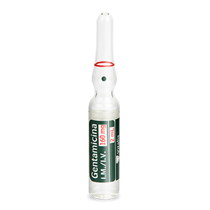 GENTAMICINA-160-MG-2-ML-I-M--I_L
