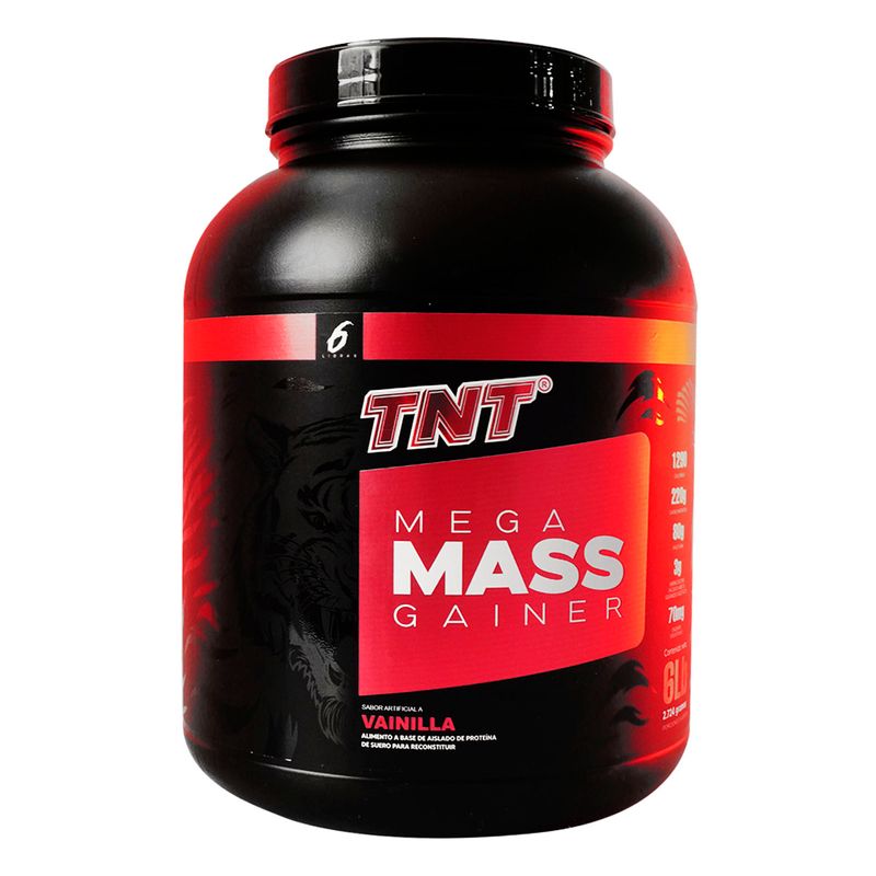 PROTEINA-TNTMEGAMAS-GAINEVAINI_F