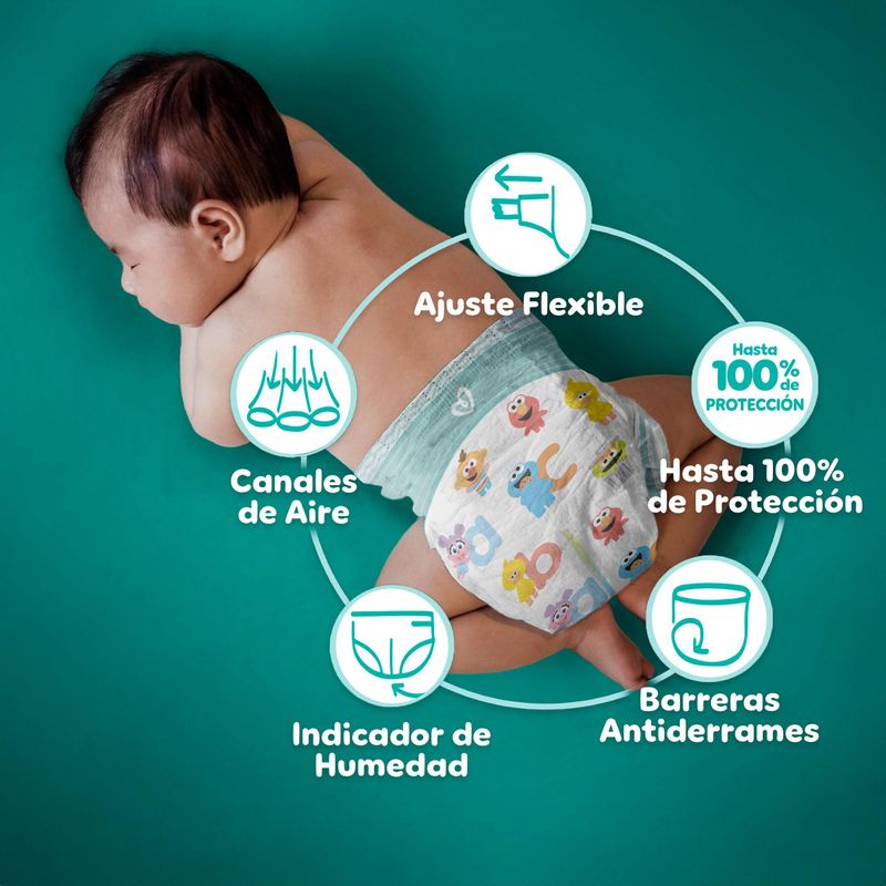 PANAL-PAMPERS-BABY-DRY-ET-6_L
