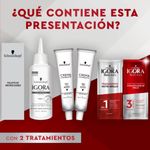 TINTE-IGORA-BRILLANCE-589I-ROJ_P