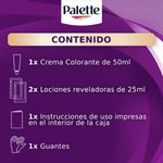 TINTE-PALETTE-C-C-1-1-NEGR-AZU_P