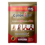 TINTE LÍQUIDO COLOR-1 BORGOÑA_F