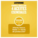 ENJUAGUE BUCAL LISTERINE ORIGI_P