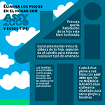 PEINE ANTIPIOJOS ASSY2000_L
