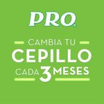 CEPILLO DE DIENTES ORAL-B PRO_L