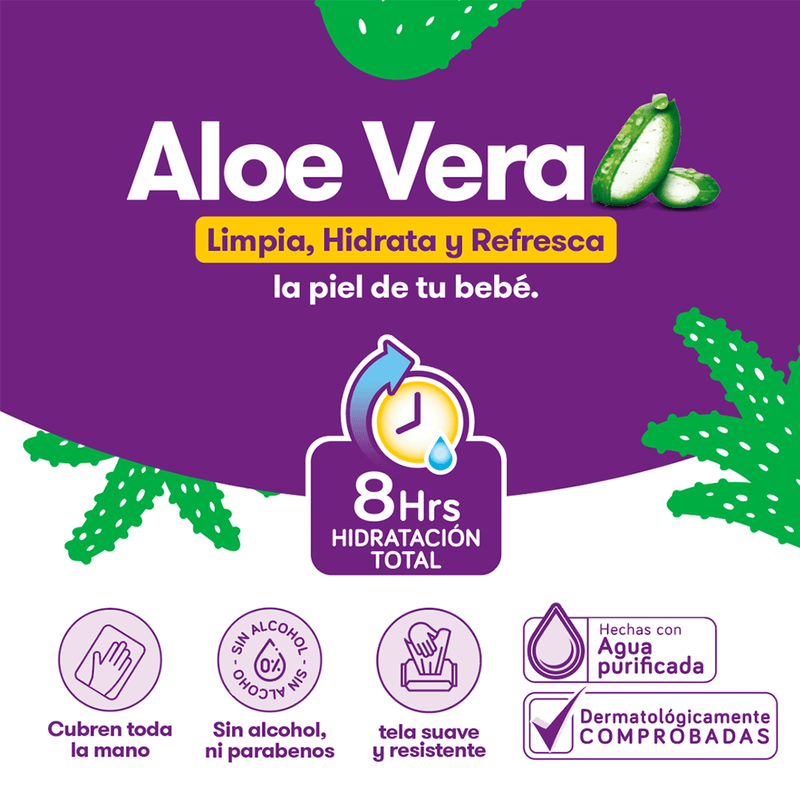TOALLITAS PEQUEÑIN ALOE V X100_P
