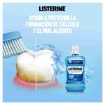 ENJUAGUE BUCAL LISTERINE CONTR_B