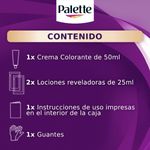 TINTE PALETTE C-C 4-0 CAST-MED_P