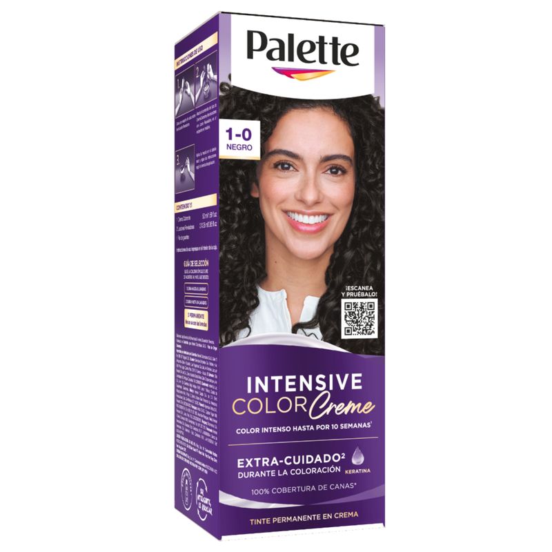 TINTE PALETTE C-C 1-0 NEGRO_F