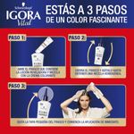 OXIGENTA IGORA 30 VOLUMENES_L
