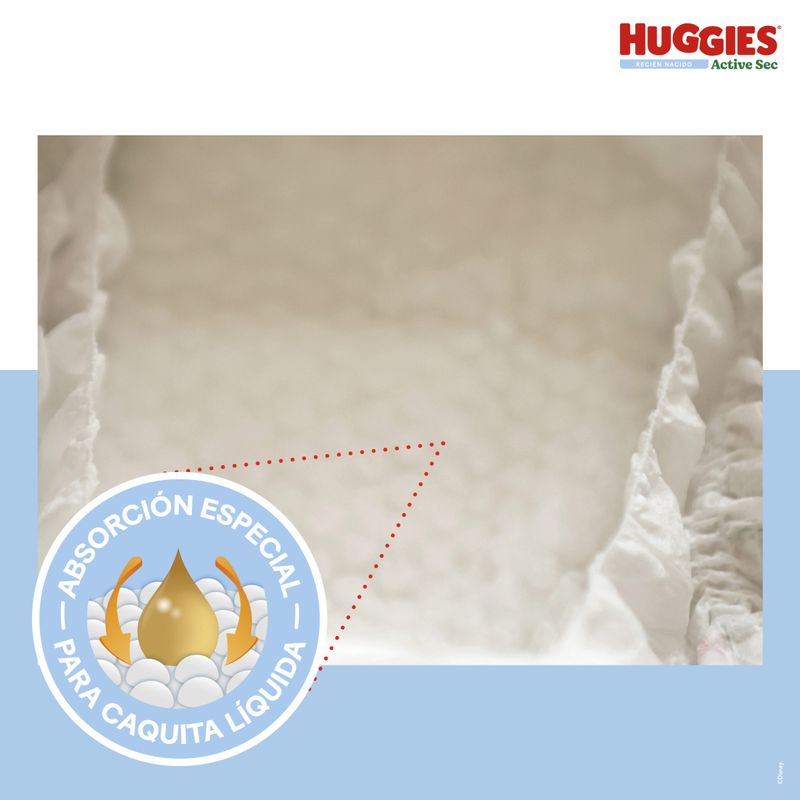 PANAL HUGGIES ACT SEC P-1_A