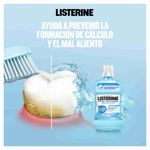 ENJUAGUE BUCAL LISTERINE CONTR_B