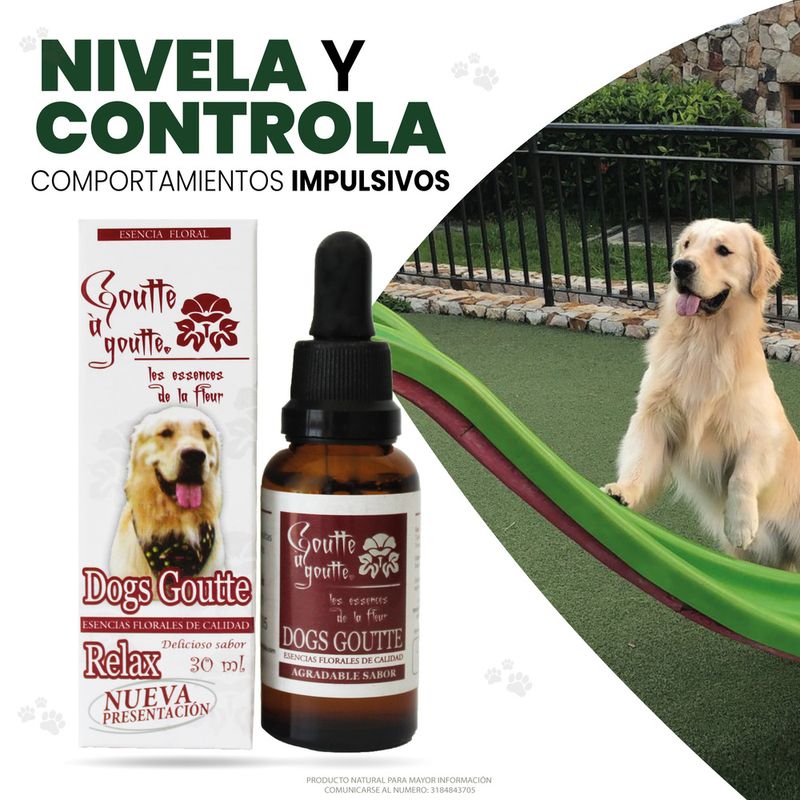 ESENCIA GOUTTEGOUTTE DOGSRELAX_L