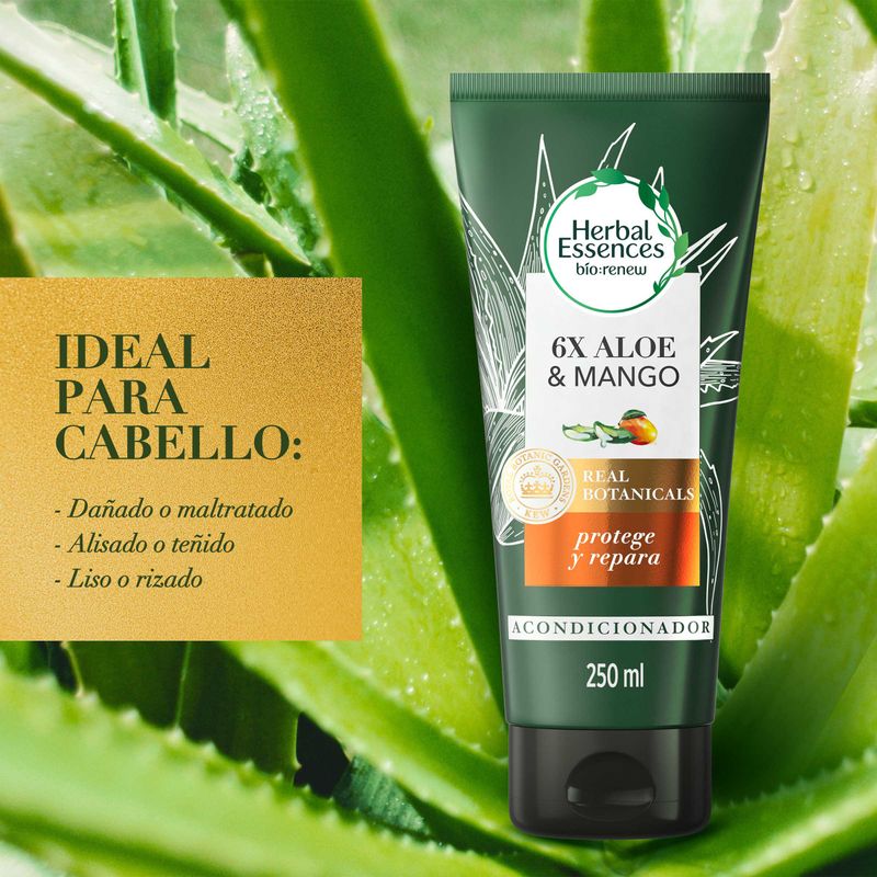 ACOND HERBAL ESEENCES ALOE MAN_P