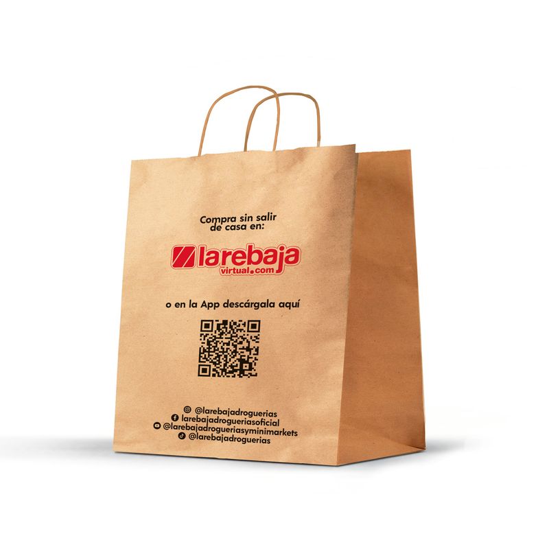 BOLSA DE PAPEL GRANDE_L