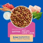 CAT CHOW GATITOS_B