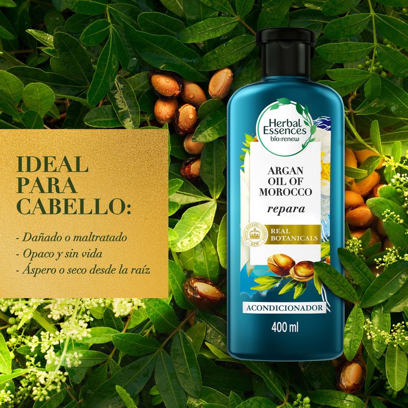 ACOND HERBAL ESSENCES MOROCCO_P