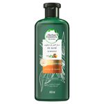 CHAMPU HERBAL ESSEN ALOE Y MAN_F