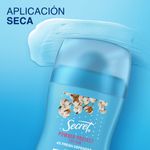 DESODORANTE ANTITRANSP SECRE_L