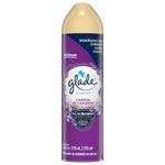 GLADE AROMATIZ AEROSOL CAMPOS_F