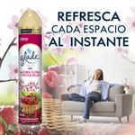 GLADE AEROSOL ALEGRIA FLORAL_C