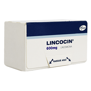 LINCOCIN 600 MG_F