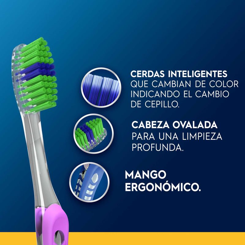 OF CEPILLO ORAL B INDIC SUAVE_L