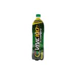 BEBIDA ENERGIZANTE VIVE 100_F