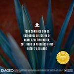 TEQUILA DON JULIO ANEJO_P